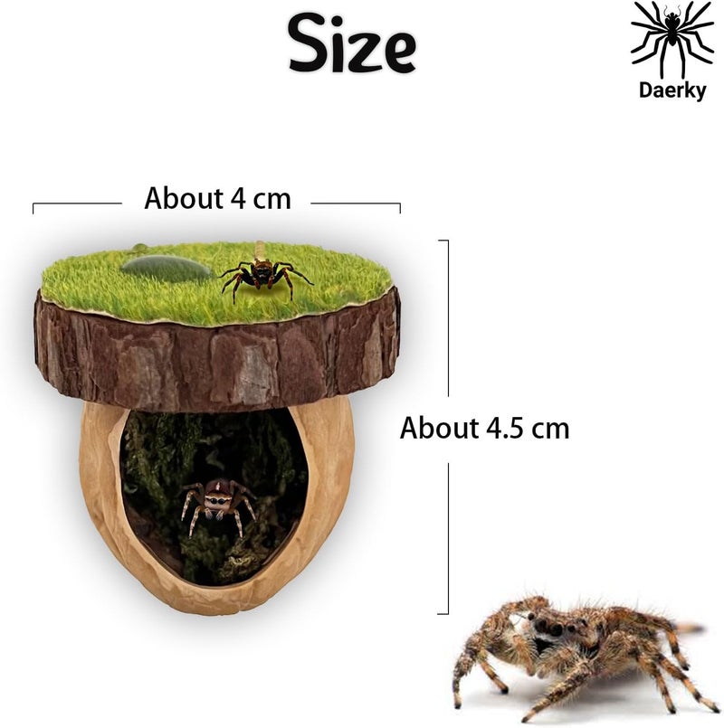 Daerky Jumping Spider Hideout - Magnetic Hiding Habitat, Climbing Platform, Handmade Fence Accessory From Natural Materials, Suitable for Small Insects - Image 3